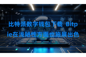 比特派数字钱包下载 Bitpie在浅陋性方面也施展出色