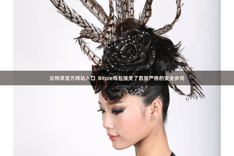比特派官方网站入口 Bitpie钱包接受了愈加严格的安全步伐