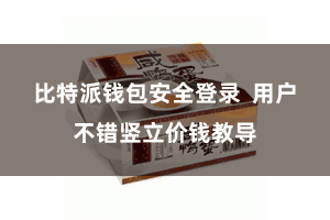 比特派钱包安全登录  用户不错竖立价钱教导