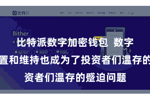 比特派数字加密钱包  数字金钱的措置和维持也成为了投资者们温存的蹙迫问题
