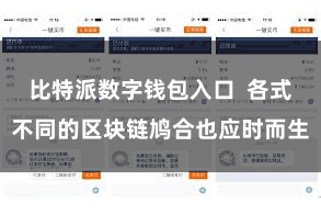 比特派数字钱包入口  各式不同的区块链鸠合也应时而生