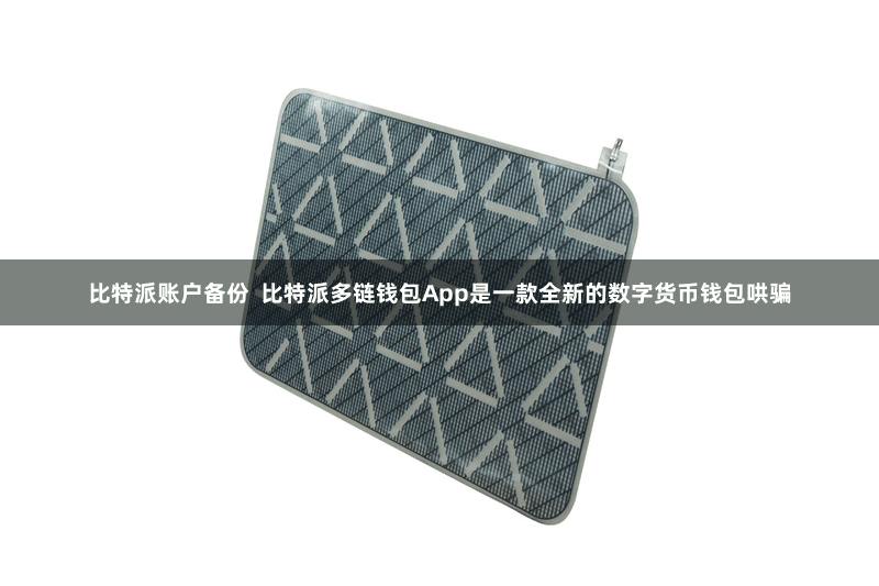 比特派账户备份  比特派多链钱包App是一款全新的数字货币钱包哄骗