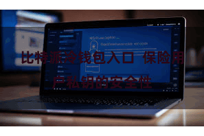 比特派冷钱包入口  保险用户私钥的安全性