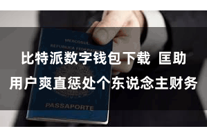 比特派数字钱包下载  匡助用户爽直惩处个东说念主财务