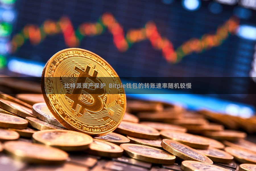 比特派资产保护  Bitpie钱包的转账速率随机较慢