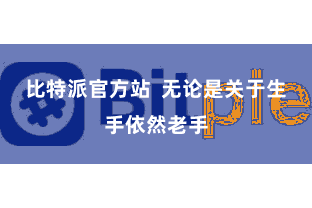 比特派官方站  无论是关于生手依然老手