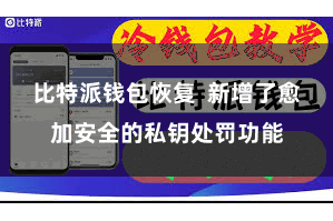 比特派钱包恢复  新增了愈加安全的私钥处罚功能