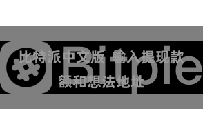 比特派中文版  输入提现款额和想法地址