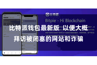 比特派钱包最新版  以便大概拜访被闭塞的网站和诈骗