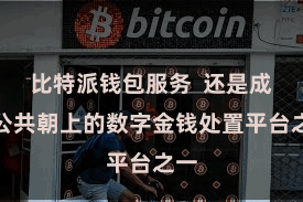 比特派钱包服务  还是成为公共朝上的数字金钱处置平台之一