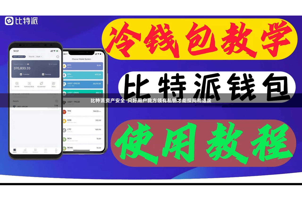 比特派资产安全  只好用户我方领有私钥才能探问和适度