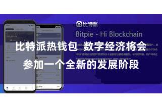 比特派热钱包  数字经济将会参加一个全新的发展阶段