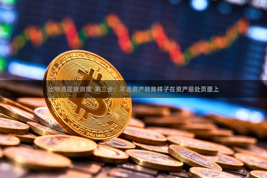 比特派区块浏览  第三步：采选资产转账样子在资产惩处页面上